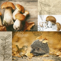 Servietten 33x33 cm - On the forest floor