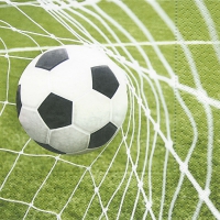 Servietten 33x33 cm - Special goal