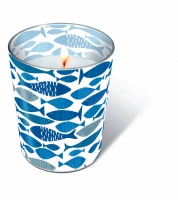 Glaskerze - Glaskerze Shoal of fish