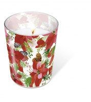 Glaskerze - Glaskerze Shiny poinsettia