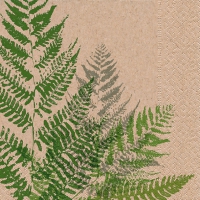 Servietten 25x25 cm - Farn