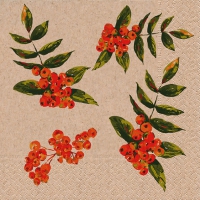 Servietten 25x25 cm - Rowan berry pattern