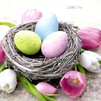 Servietten 25x25 cm - Lovely nest