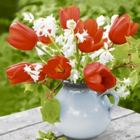 Servietten 25x25 cm - Red tulips