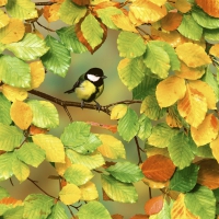 Servietten 24x24 cm - Fall is here