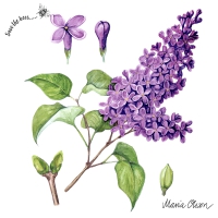 Servietten 33x33 cm - Lilac