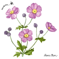 Servietten 33x33 cm - Anemone