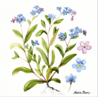 Servietten 33x33 cm - Forget me not