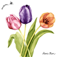 Servietten 33x33 cm - Colorful tulips