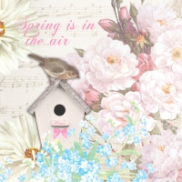 Servietten 33x33 cm - Bird house