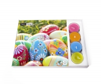 Combibox  - Vibrant Eggs