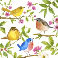 Servietten 24x24 cm - Beep, beep, beep