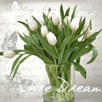 Servietten 33x33 cm - White dream Servietten 33x33 cm - White dream