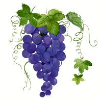 Servietten 24x24 cm - Uva rossa