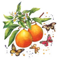 Servietten 24x24 cm - Fruity Butterflies