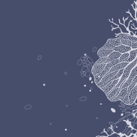 Servietten 24x24 cm - Coral