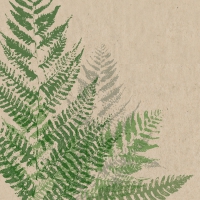 Servietten 24x24 cm - Farn