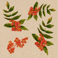 Servietten 24x24 cm - Rowan berry pattern