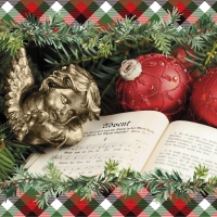 Servietten 24x24 cm - Angel Poem