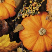 Servietten 33x33 cm - Fall Pumpkins