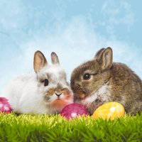 Servietten 33x33 cm - Best friends