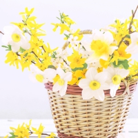 Servietten 33x33 cm - Daffodil basket