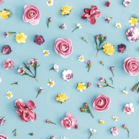 Servietten 24x24 cm - Spring Melody