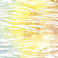 Servietten 24x24 cm - Colorful zebra