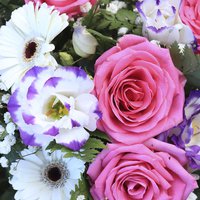 Servietten 33x33 cm - Garden florals