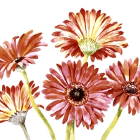 Servietten 33x33 cm - Gerbera art