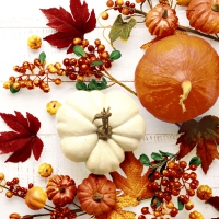 Servietten 24x24 cm - Pumpkin & leaves