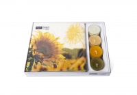 Combibox  - Dusk Sunflower