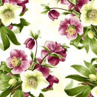 Servietten 33x33 cm - Easter rose