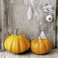 Servietten 33x33 cm - Two pumpkins