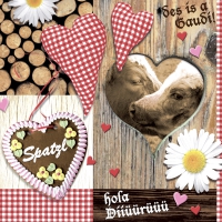 Servietten 33x33 cm - Wiesn Gaudi