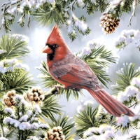 Servietten 24x24 cm - Red cardinal