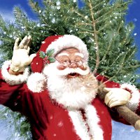 Servietten 33x33 cm - Here comes the tree Servietten 33x33 cm - Here comes the tree