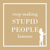Servietten 25x25 cm - Stupid People