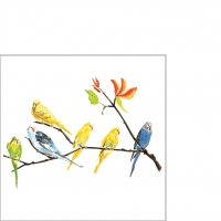 Servietten 25x25 cm - Periko