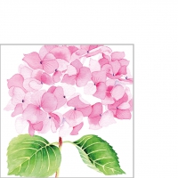 Servietten 25x25 cm - Hydrangea rosé