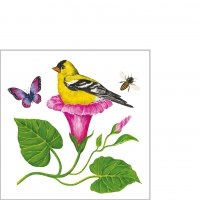 Servietten 25x25 cm - Morning Glory Nest 