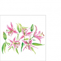 Servietten 25x25 cm - Stargazer Lilies 