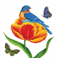 4 SERVIETTEN NAPKINS ADANA 25 X 25 SCHMETTERLING SCHNECKE BIENE TULPEN BLUMEN