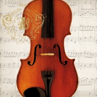 Servietten 33x33 cm - Concerto Violino