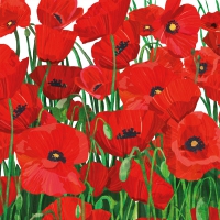 Servietten 33x33 cm - Red Poppies