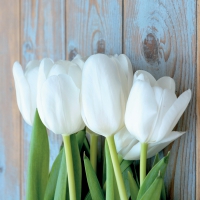 Servietten 33x33 cm - White Tulips on Wood Servietten 33x33 cm - White Tulips on Wood
