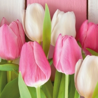 Servietten 33x33 cm - White & Pink Tulips Servietten 33x33 cm - White & Pink Tulips