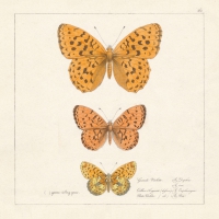 Servietten 33x33 cm - Papillons Antiques