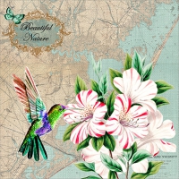 Servietten 33x33 cm - Pretty Hummingbird