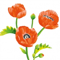 Servietten 33x33 cm - Poppies
